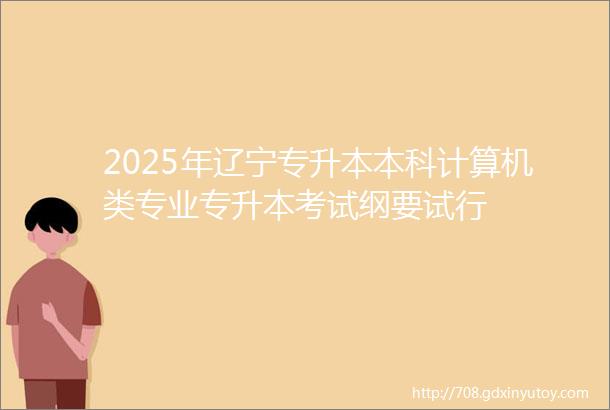 2025年辽宁专升本本科计算机类专业专升本考试纲要试行